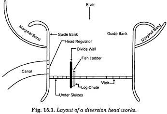 General Patterns of Movement 