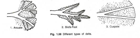 Different  Types Of Delta 