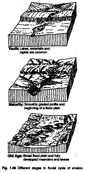 Different Flood Plain and Fully Developed Meanders and Levees