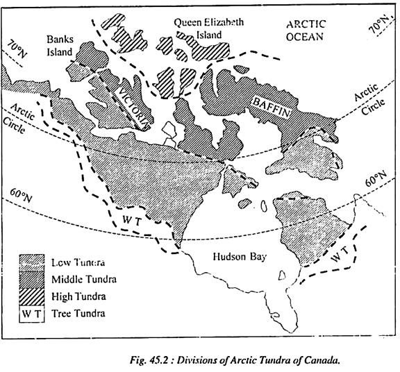 Divisions of Arctic Tundra of Canada