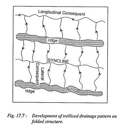 Development of Trellised Drainage pattern on folded Structure