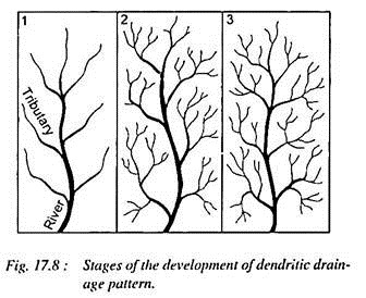 Stages of the Development of Dendritic Drain Age Pattern