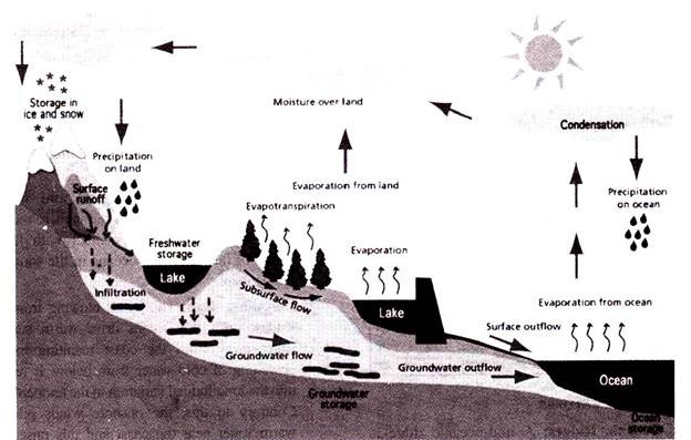 Hydrological Cycle