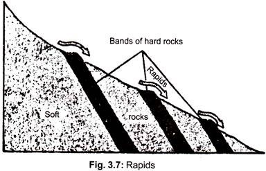 Nitrogen Cycle