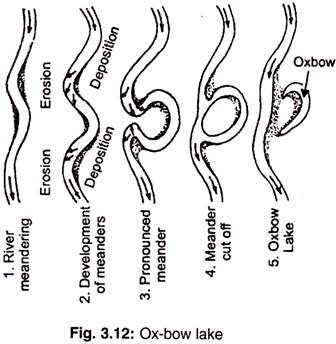 Phosphorus Cycle